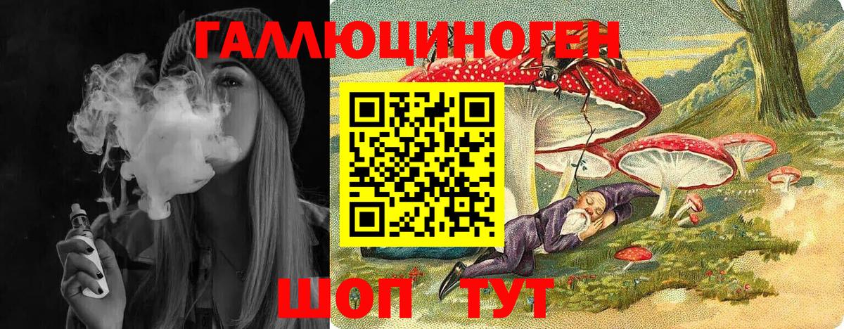 Гатчина  Галлюциногенные грибы прущие грибы  Вход с VPN  Галлюциногенные грибы Psilocybe 